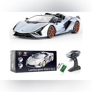 Lamborghini Silver Model Car The item is used But like New No scratch